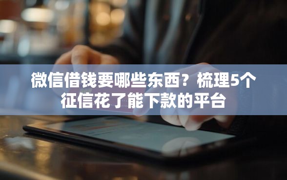 微信借钱要哪些东西？梳理5个征信花了能下款的平台