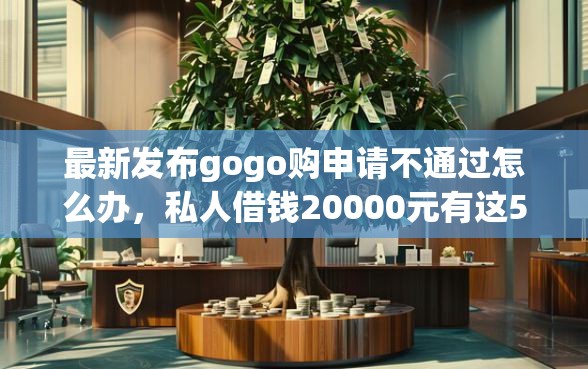 最新发布gogo购申请不通过怎么办，私人借钱20000元有这5个渠道