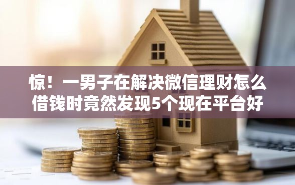 惊！一男子在解决微信理财怎么借钱时竟然发现5个现在平台好借钱，事后分享了出来