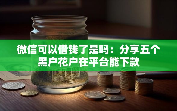微信可以借钱了是吗：分享五个黑户花户在平台能下款