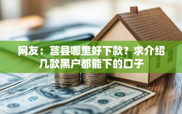 网友：莒县哪里好下款？求介绍几款黑户都能下的口子