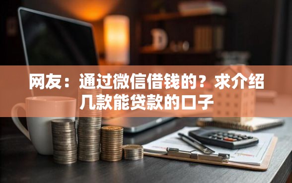 网友：通过微信借钱的？求介绍几款能贷款的口子