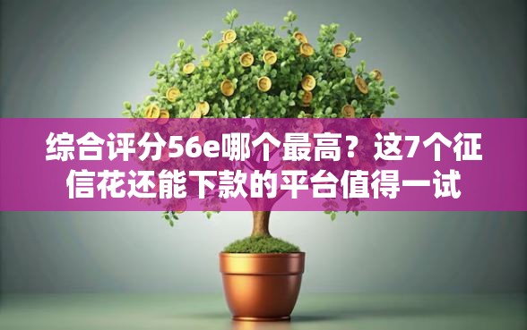 综合评分56e哪个最高？这7个征信花还能下款的平台值得一试