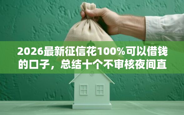 2026最新征信花100%可以借钱的口子，总结十个不审核夜间直接放款的网贷口子！