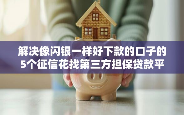 解决像闪银一样好下款的口子的5个征信花找第三方担保贷款平台分享