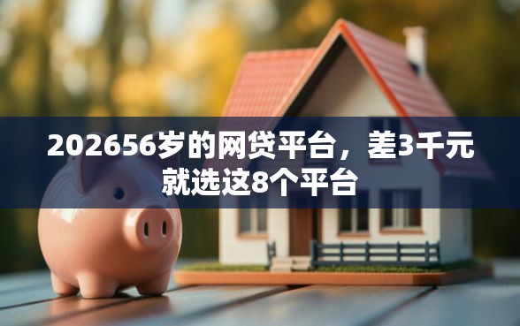 202656岁的网贷平台，差3千元就选这8个平台