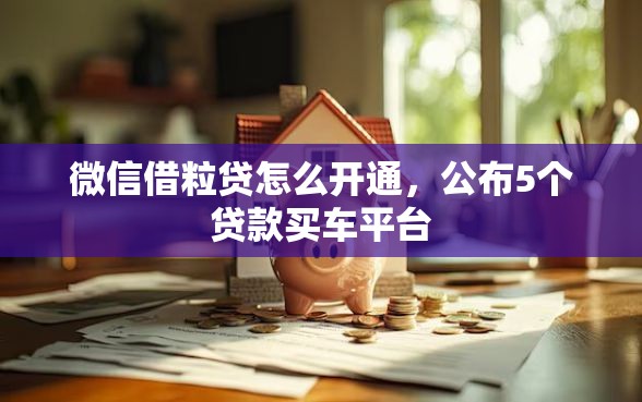 微信借粒贷怎么开通，公布5个贷款买车平台