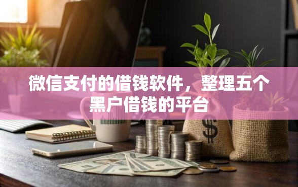 微信支付的借钱软件，整理五个黑户借钱的平台