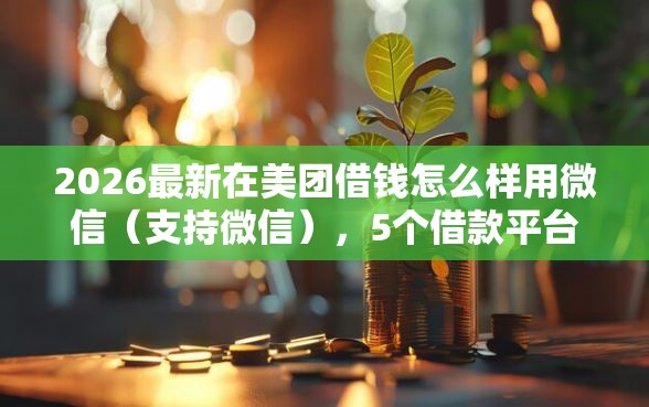 2026最新在美团借钱怎么样用微信（支持微信），5个借款平台可以给黑户当前有逾期的借款一万无私分享