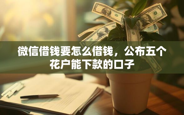 微信借钱要怎么借钱，公布五个花户能下款的口子