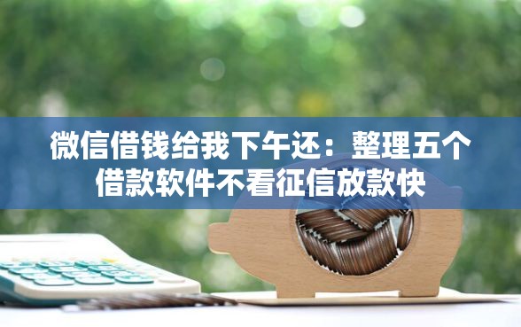 微信借钱给我下午还：整理五个借款软件不看征信放款快