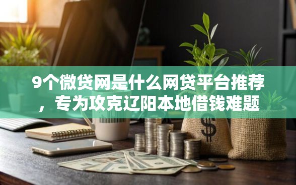 9个微贷网是什么网贷平台推荐，专为攻克辽阳本地借钱难题