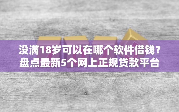没满18岁可以在哪个软件借钱？盘点最新5个网上正规贷款平台