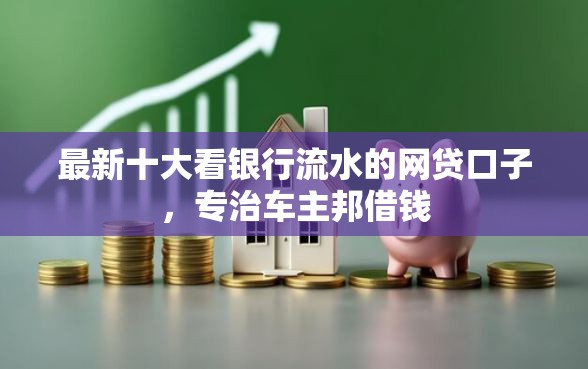最新十大看银行流水的网贷口子，专治车主邦借钱