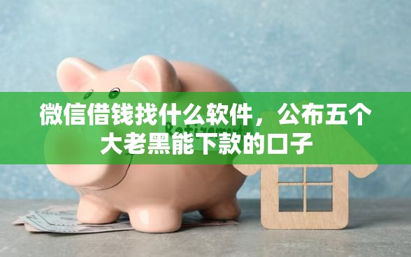 微信借钱找什么软件，公布五个大老黑能下款的口子