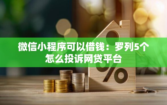 微信小程序可以借钱：罗列5个怎么投诉网贷平台