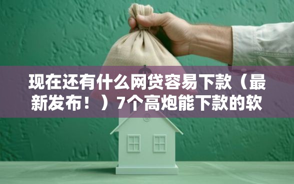 现在还有什么网贷容易下款（最新发布！）7个高炮能下款的软件