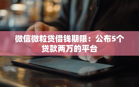 微信微粒贷借钱期限：公布5个贷款两万的平台