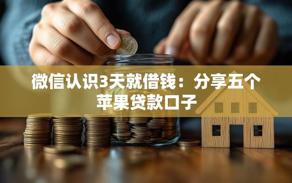 微信认识3天就借钱：分享五个苹果贷款口子