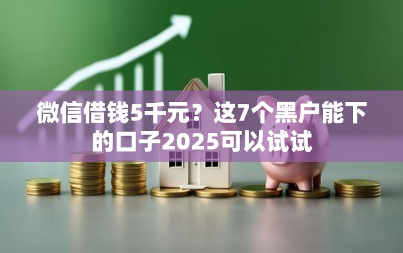 微信借钱5千元？这7个黑户能下的口子2025可以试试