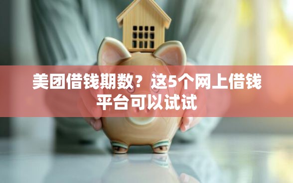 美团借钱期数？这5个网上借钱平台可以试试
