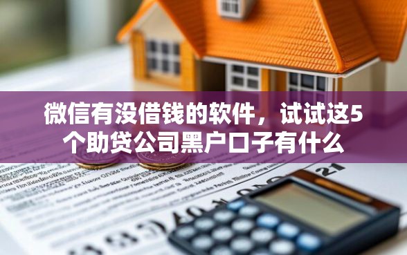 微信有没借钱的软件，试试这5个助贷公司黑户口子有什么