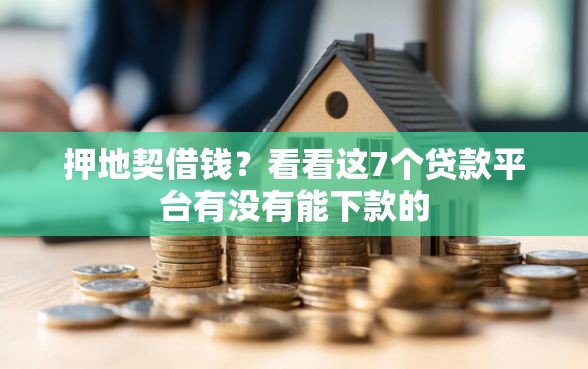 押地契借钱？看看这7个贷款平台有没有能下款的