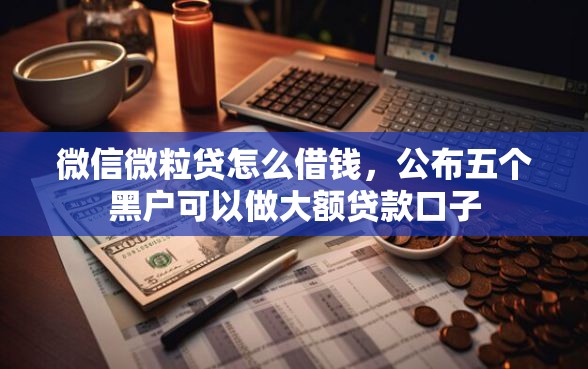 微信微粒贷怎么借钱，公布五个黑户可以做大额贷款口子