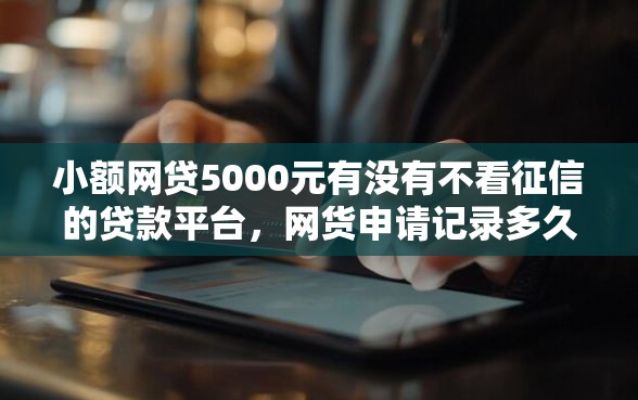 小额网贷5000元有没有不看征信的贷款平台，网货申请记录多久会从征信中消失的5个平台介绍