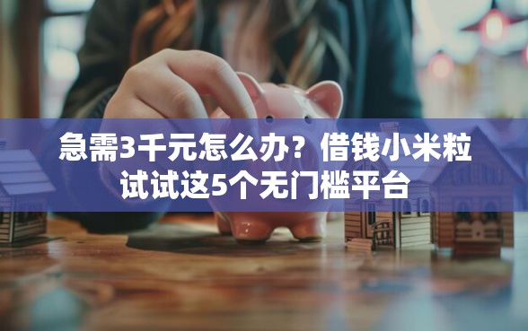 急需3千元怎么办？借钱小米粒试试这5个无门槛平台