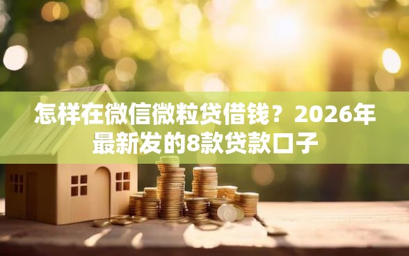 怎样在微信微粒贷借钱？2026年最新发的8款贷款口子