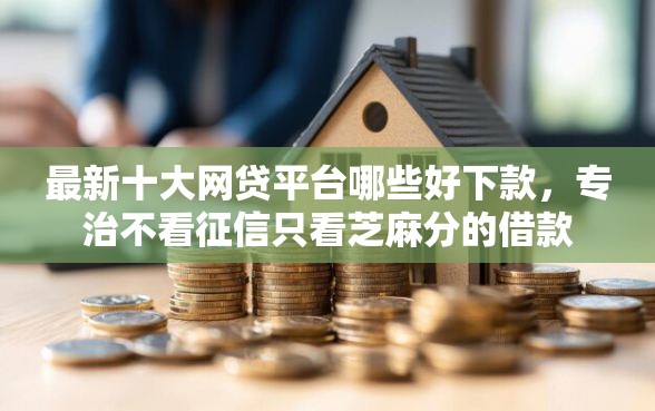 最新十大网贷平台哪些好下款，专治不看征信只看芝麻分的借款