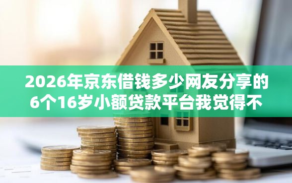 2026年京东借钱多少网友分享的6个16岁小额贷款平台我觉得不错！