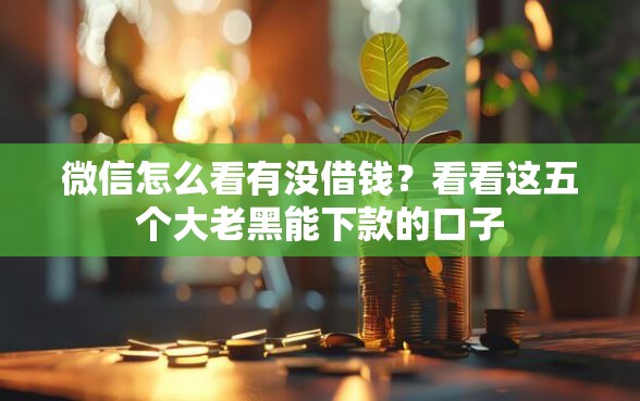 微信怎么看有没借钱？看看这五个大老黑能下款的口子