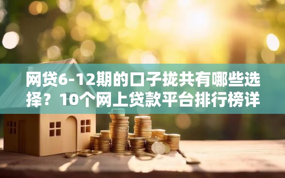 网贷6-12期的口子拢共有哪些选择？10个网上贷款平台排行榜详解
