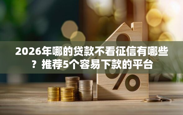 2026年哪的贷款不看征信有哪些？推荐5个容易下款的平台