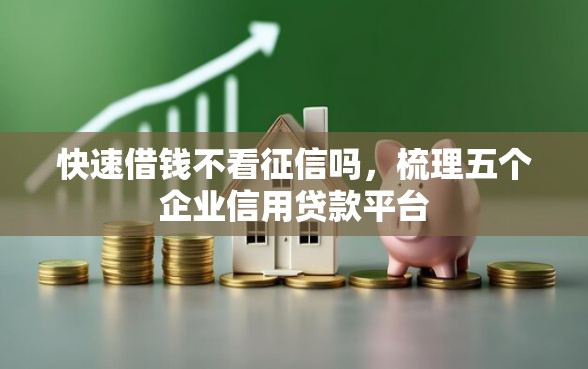 快速借钱不看征信吗，梳理五个企业信用贷款平台
