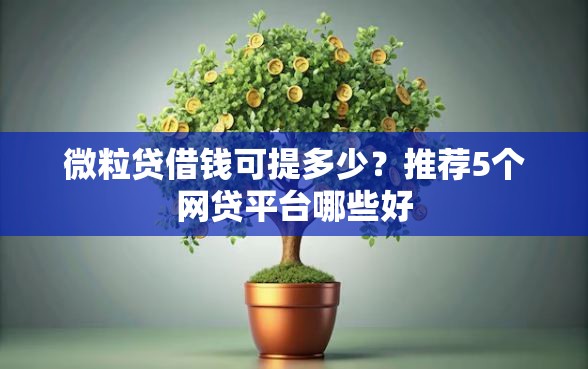 微粒贷借钱可提多少？推荐5个网贷平台哪些好