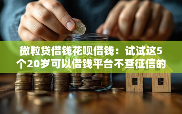 微粒贷借钱花呗借钱：试试这5个20岁可以借钱平台不查征信的平台