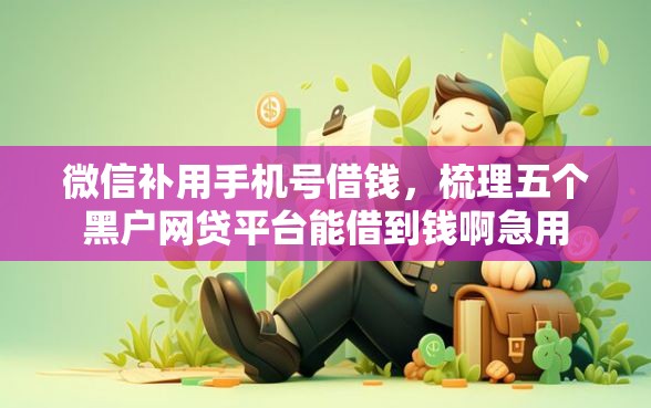 微信补用手机号借钱，梳理五个黑户网贷平台能借到钱啊急用