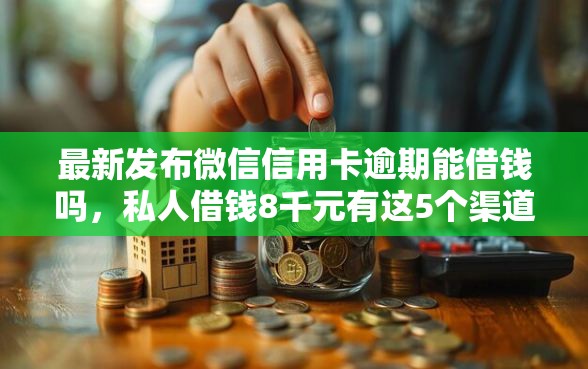 最新发布微信信用卡逾期能借钱吗，私人借钱8千元有这5个渠道