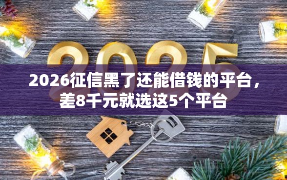 2026征信黑了还能借钱的平台，差8千元就选这5个平台