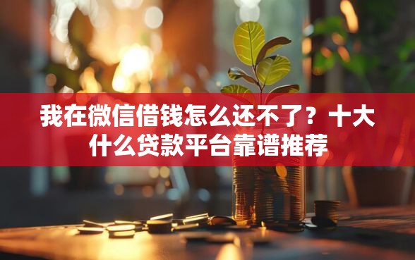 我在微信借钱怎么还不了？十大什么贷款平台靠谱推荐