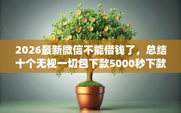 2026最新微信不能借钱了，总结十个无视一切包下款5000秒下款的app！