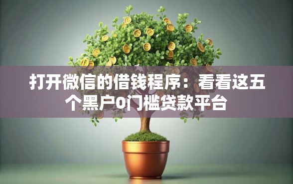 打开微信的借钱程序：看看这五个黑户0门槛贷款平台