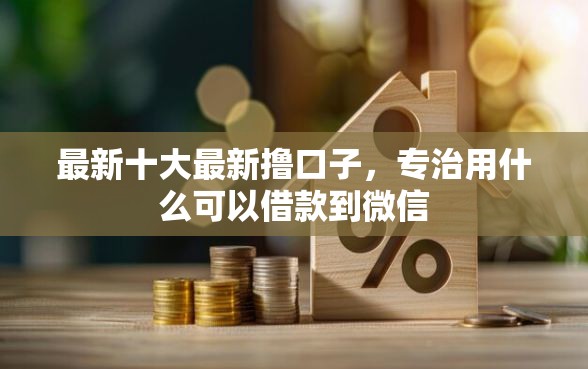 最新十大最新撸口子,专治用什么可以借款到微信 最新十大最新撸口子,专治用什么可以借款到微信