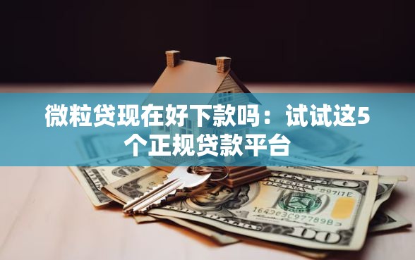微粒贷现在好下款吗：试试这5个正规贷款平台