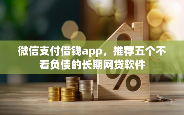 微信支付借钱app，推荐五个不看负债的长期网贷软件