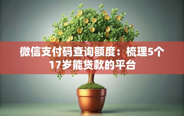 微信支付码查询额度：梳理5个17岁能贷款的平台