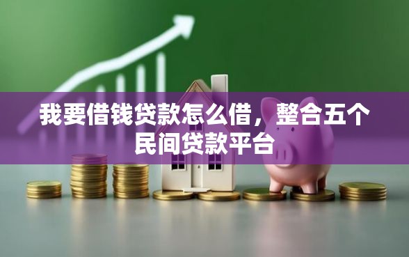 我要借钱贷款怎么借，整合五个民间贷款平台